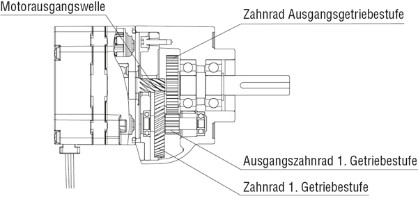 Oriental Motor Querschnitt CS-Getriebe